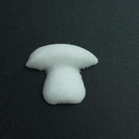 champignon blanc